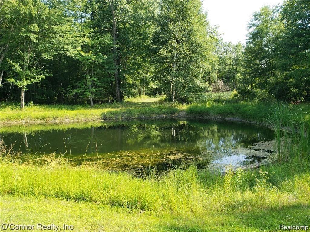 2845 Burr Road Applegate, MI 48401 - Photo 6 of 53