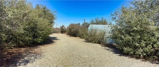 a view of a large yard with lots of green space