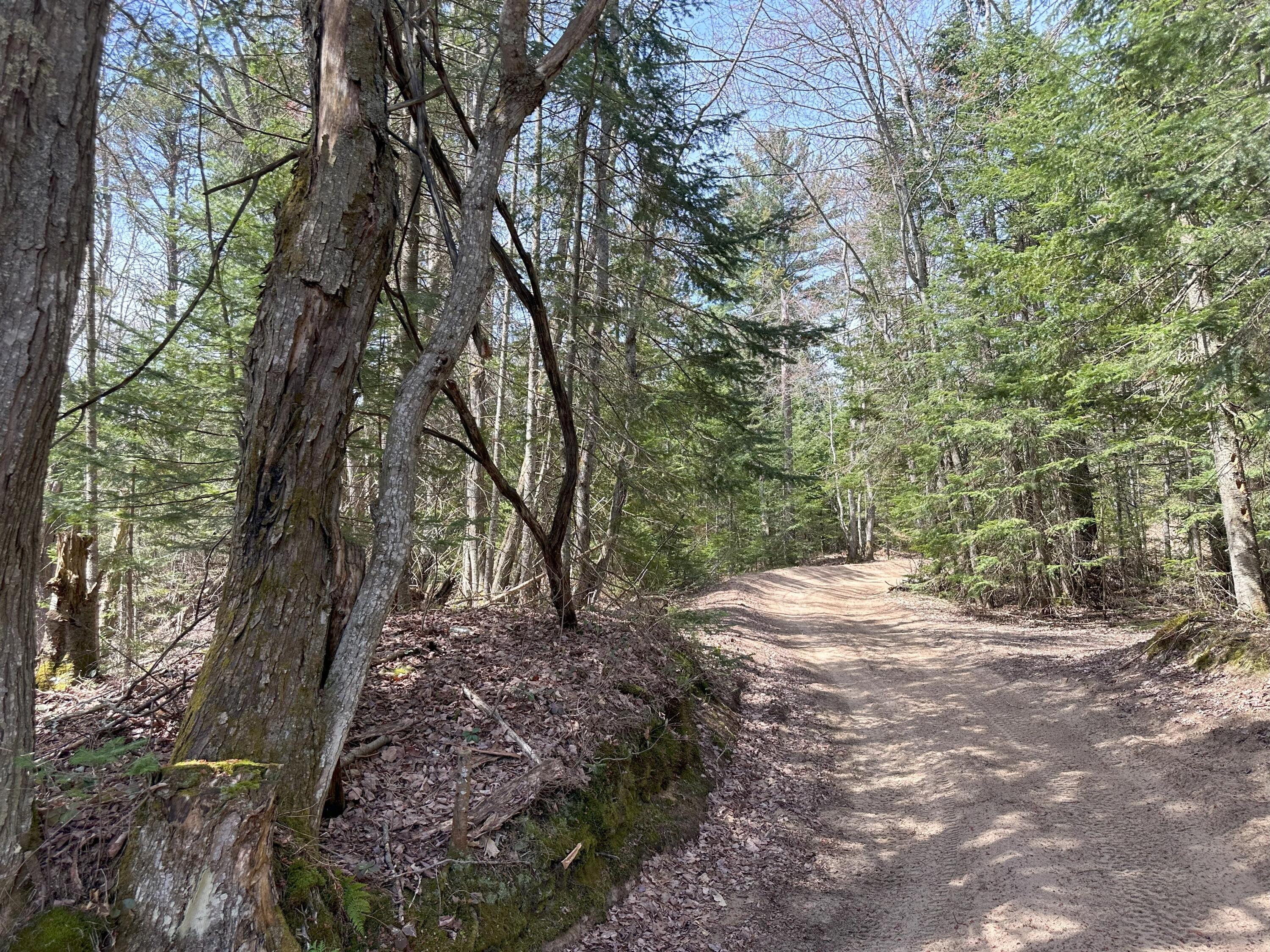 Tbd West Betsy River Road Paradise, MI 49768 - Photo 18 of 44 Gallery Image 18