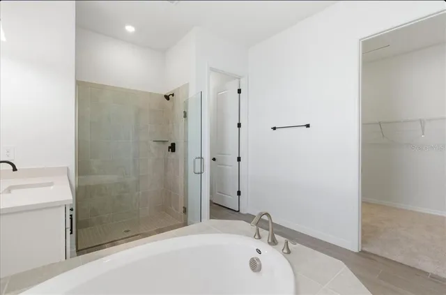 a bathroom with a tub sink shower and a mirror