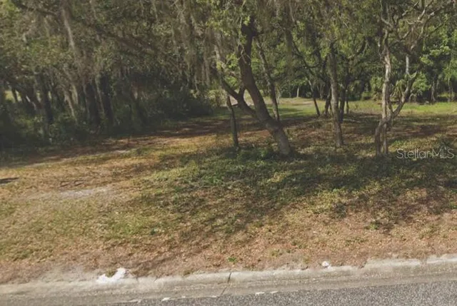 $30,000 | 208 Oak Ridge Drive, Welaka, FL 32193