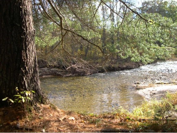 1219 Fowler River Road Alexandria, NH 03222 - Photo 22 of 36