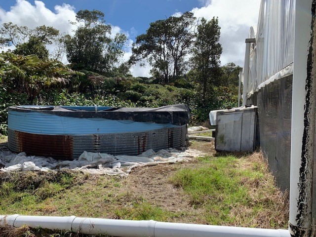 136 Rd C Volcano, HI 96785 - Photo 4 of 4 Gallery Image 4