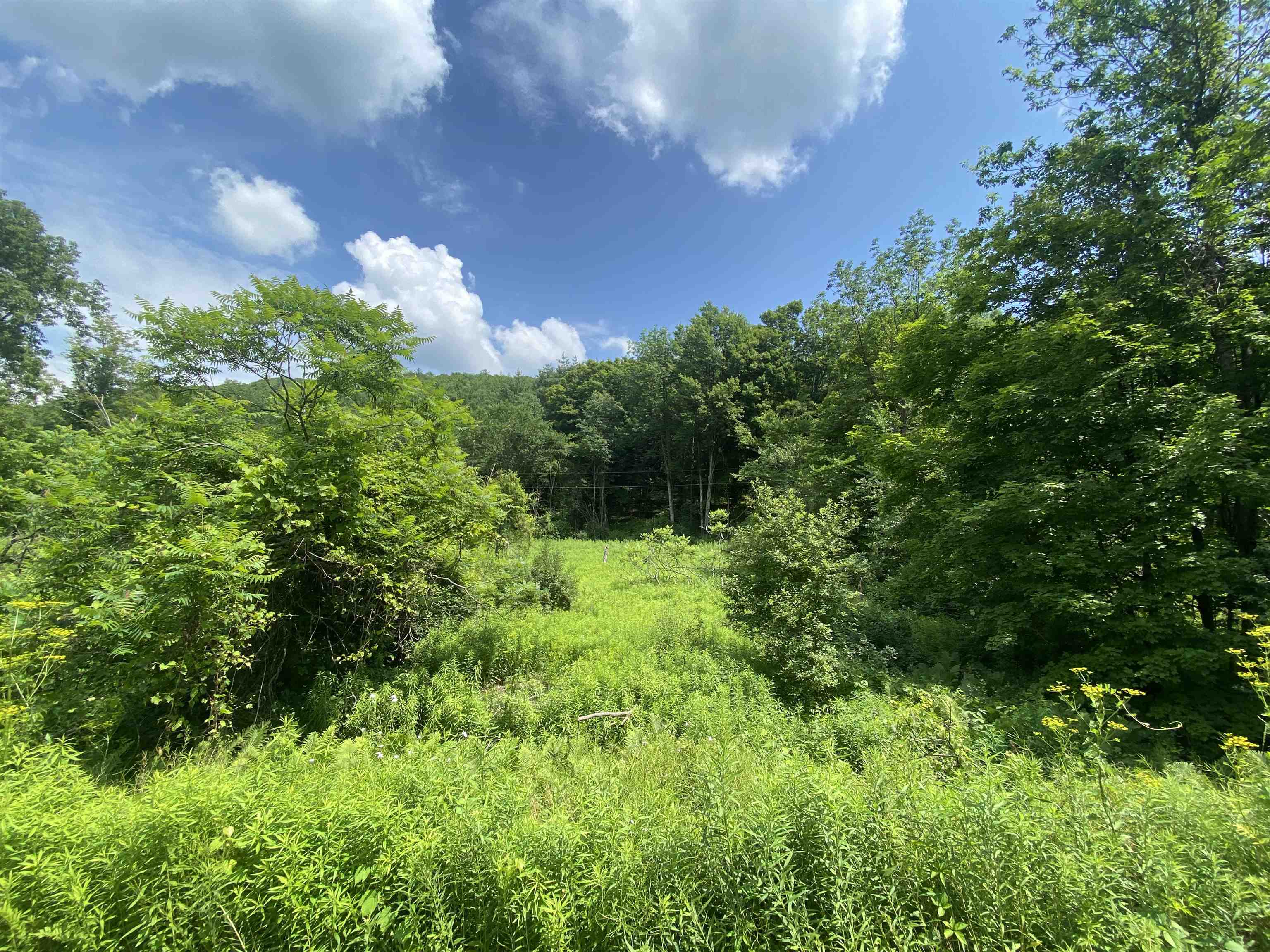 14 Barker Hill Road Castleton, VT 05735 - Photo 3 of 5