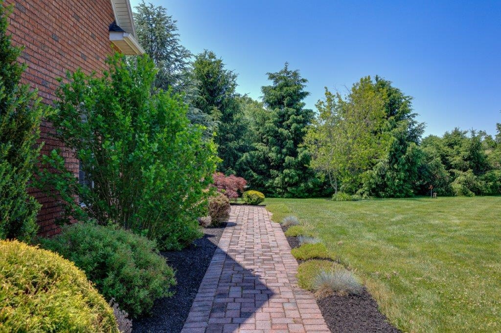 61 Bridgewater Road Bridgewater, VA 22812 - Photo 73 of 75 a view of a yard with plants and large trees