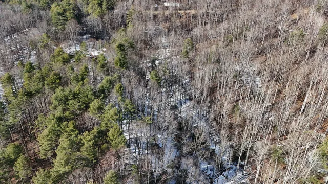 a view of a dry yard