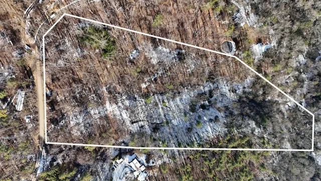 a view of a roof with a forest