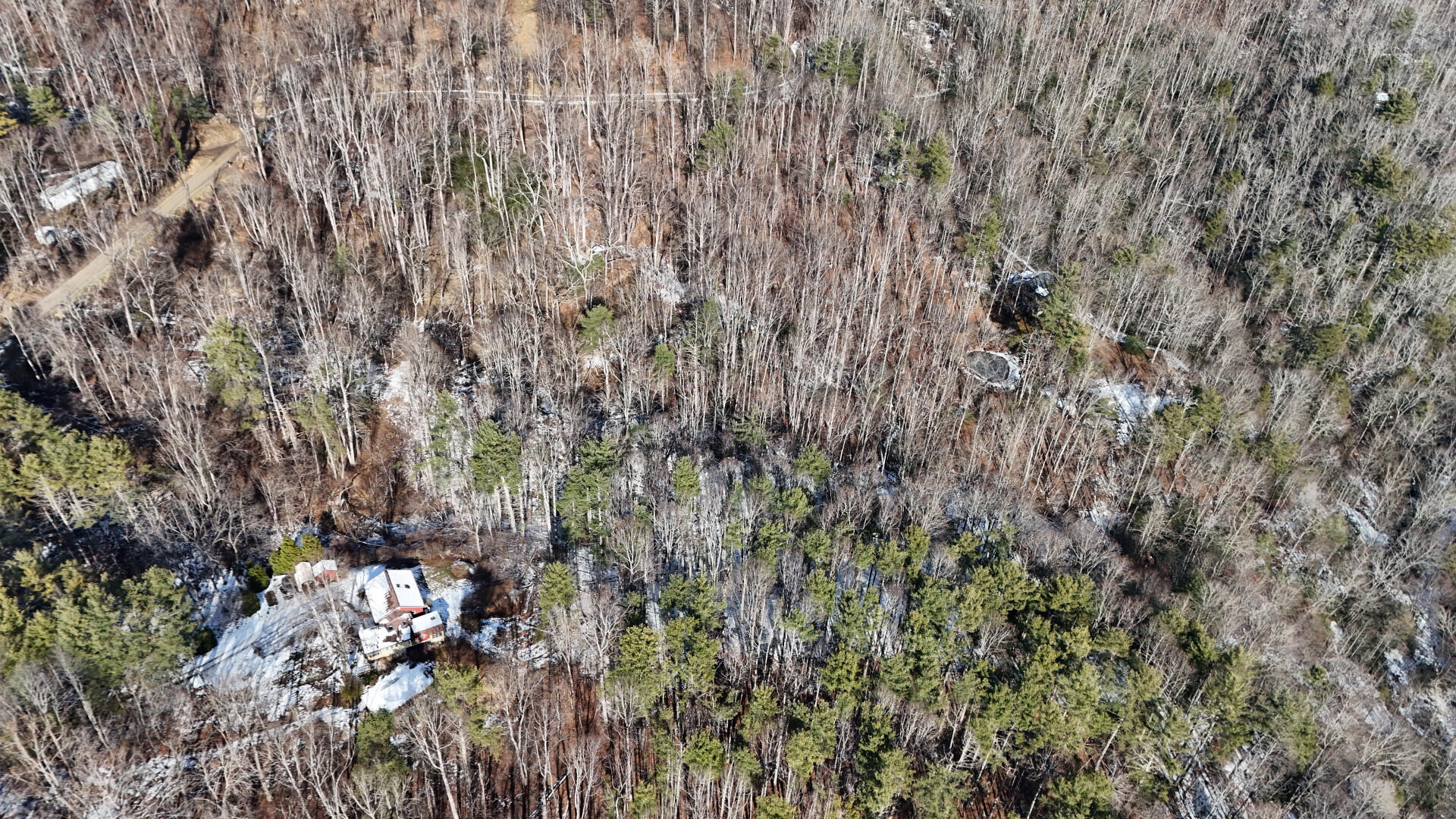 Tbd Sugar Run Road Northeast Copper Hill, VA 24079 - Photo 7 of 12 a view of forest
