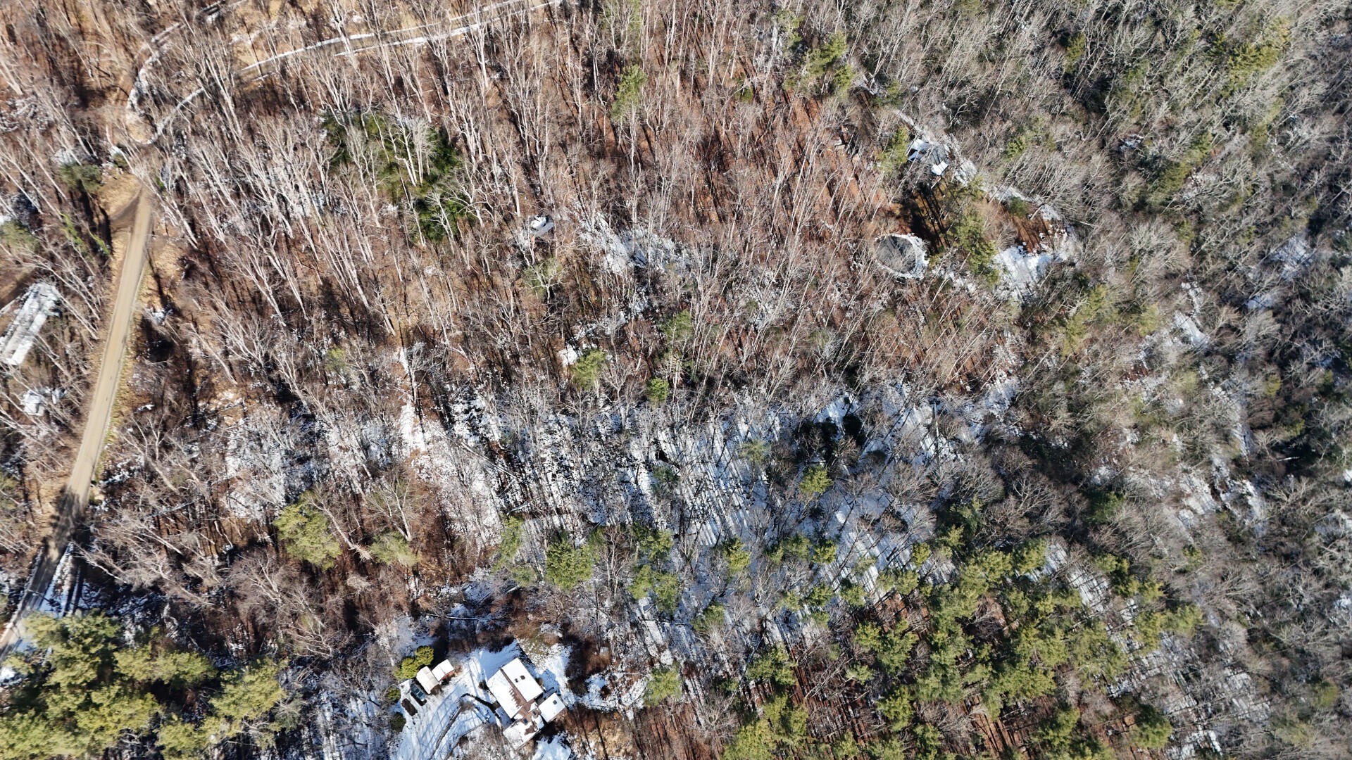 Tbd Sugar Run Road Northeast Copper Hill, VA 24079 - Photo 8 of 12 a view of a lush green forest