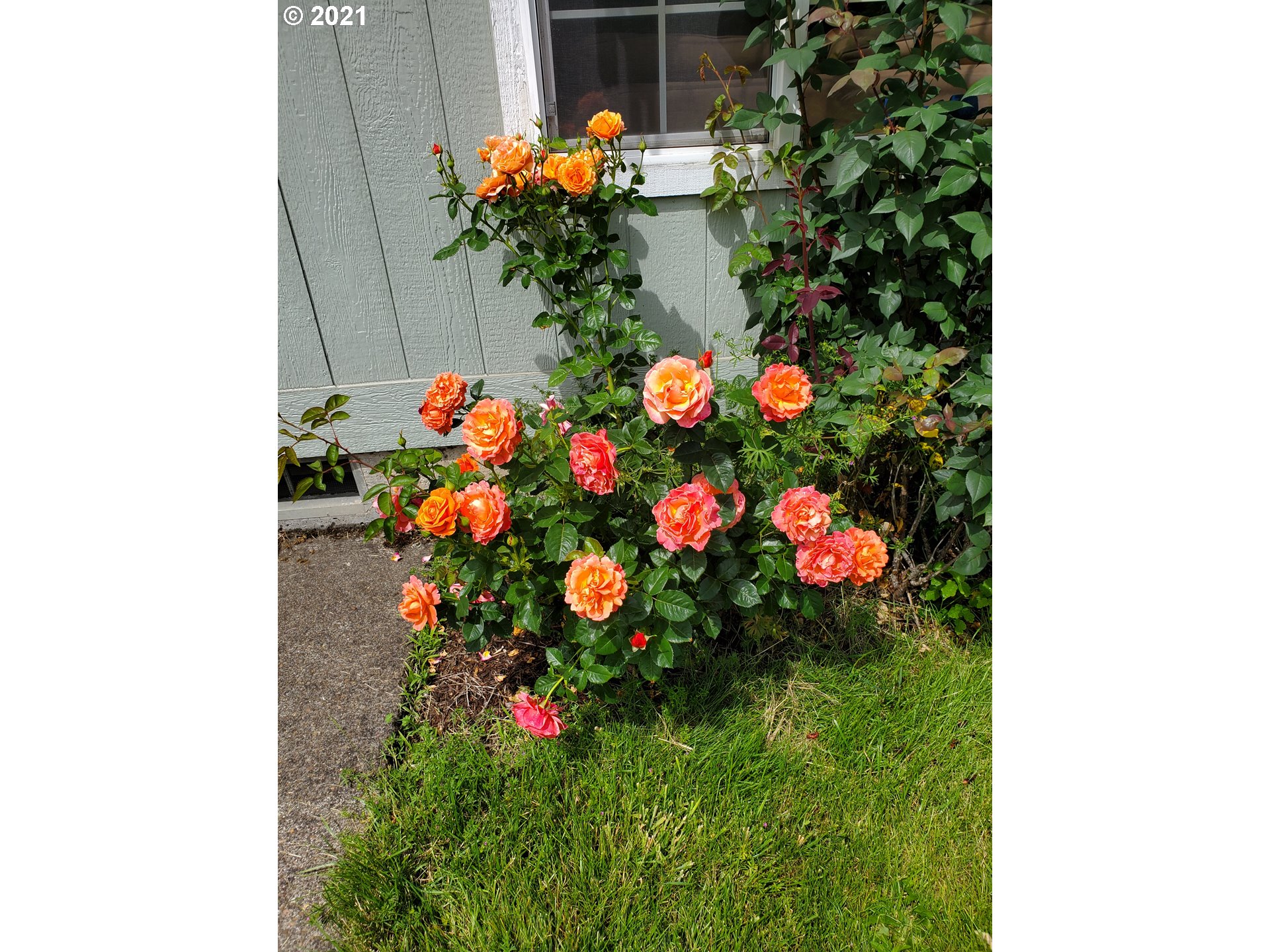 185 65th Place Springfield, OR 97478 - Photo 30 of 30