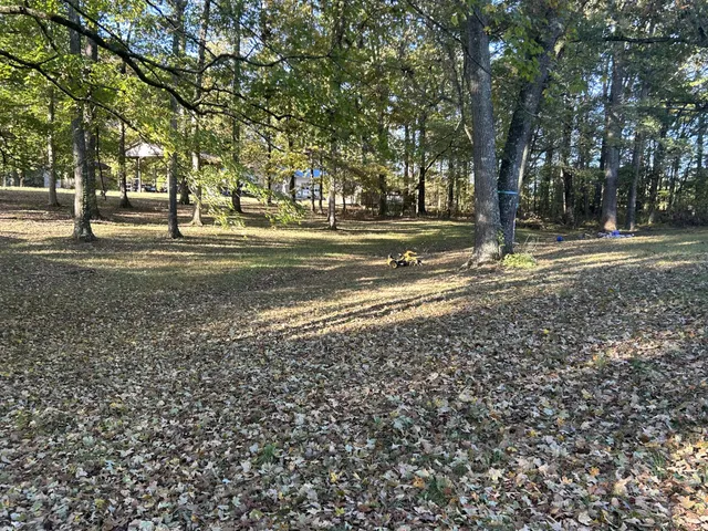 a view of road with trees