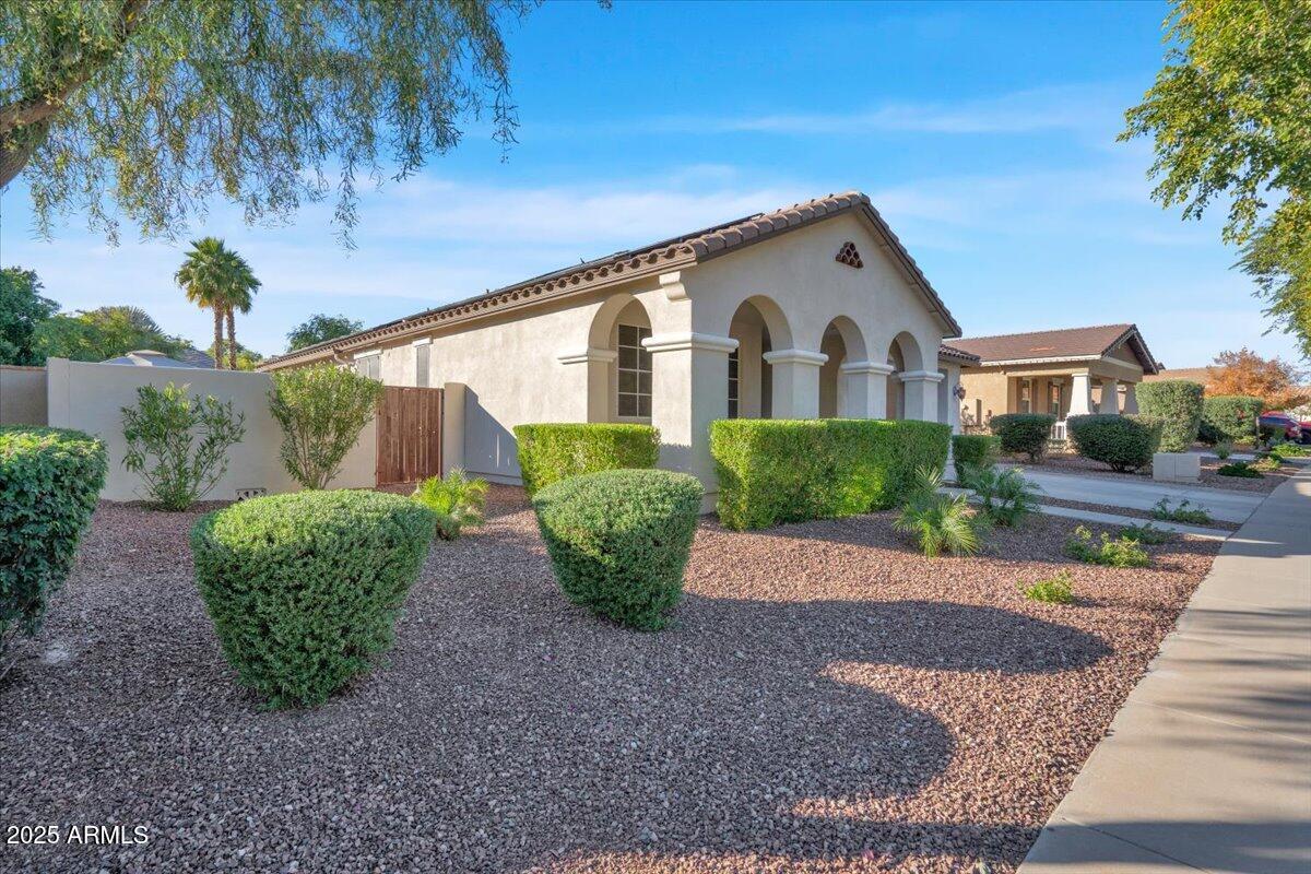 3214 North Springfield Street Buckeye, AZ 85396 - Photo 3 of 64 a front view of a house with garden