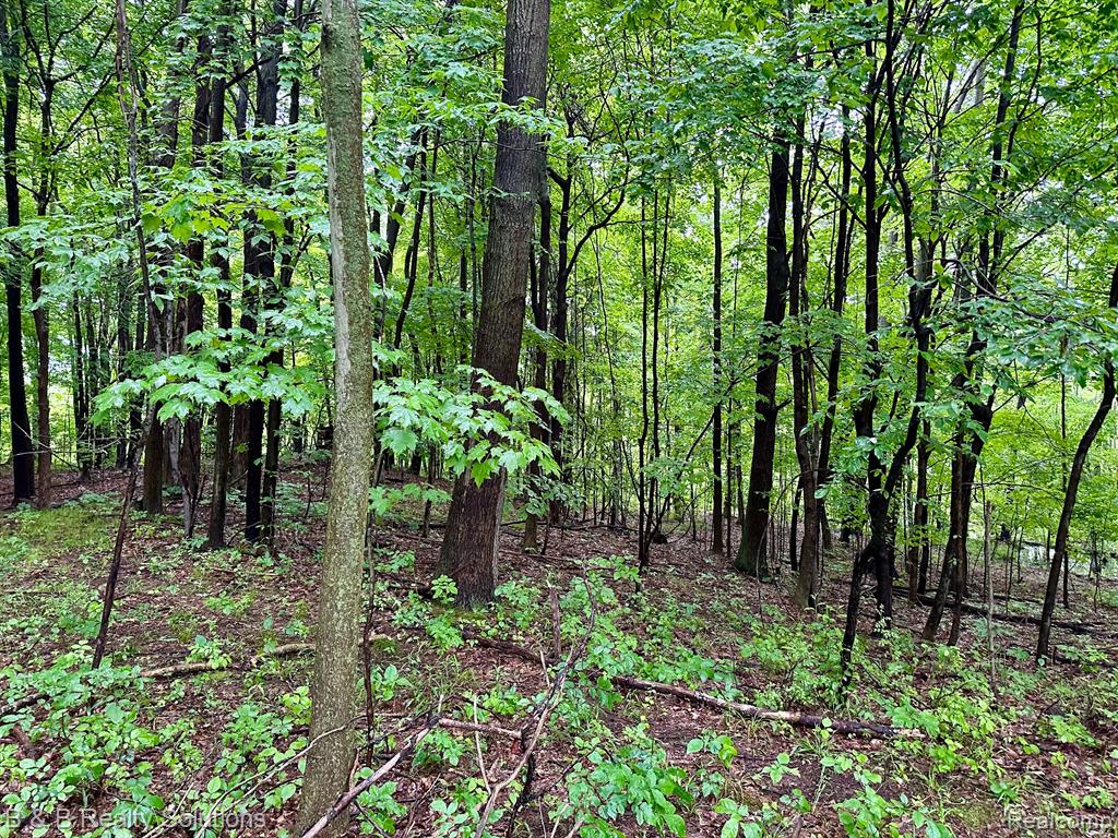 0 South Lake Pleasant Road Metamora, MI 48455 - Photo 13 of 32