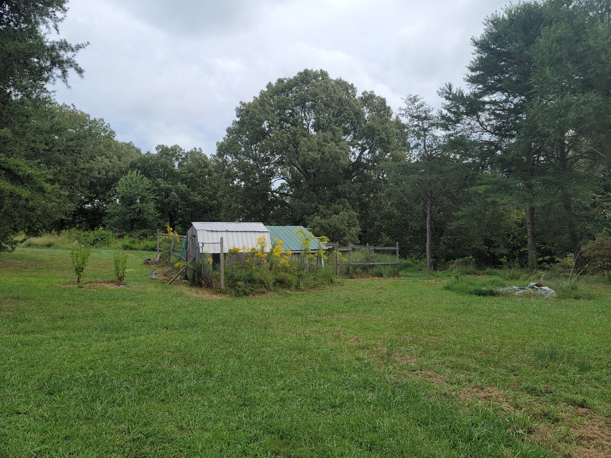 1625 Grapevine Road Crofton, KY 42217 - Photo 11 of 47 Gallery Image 11