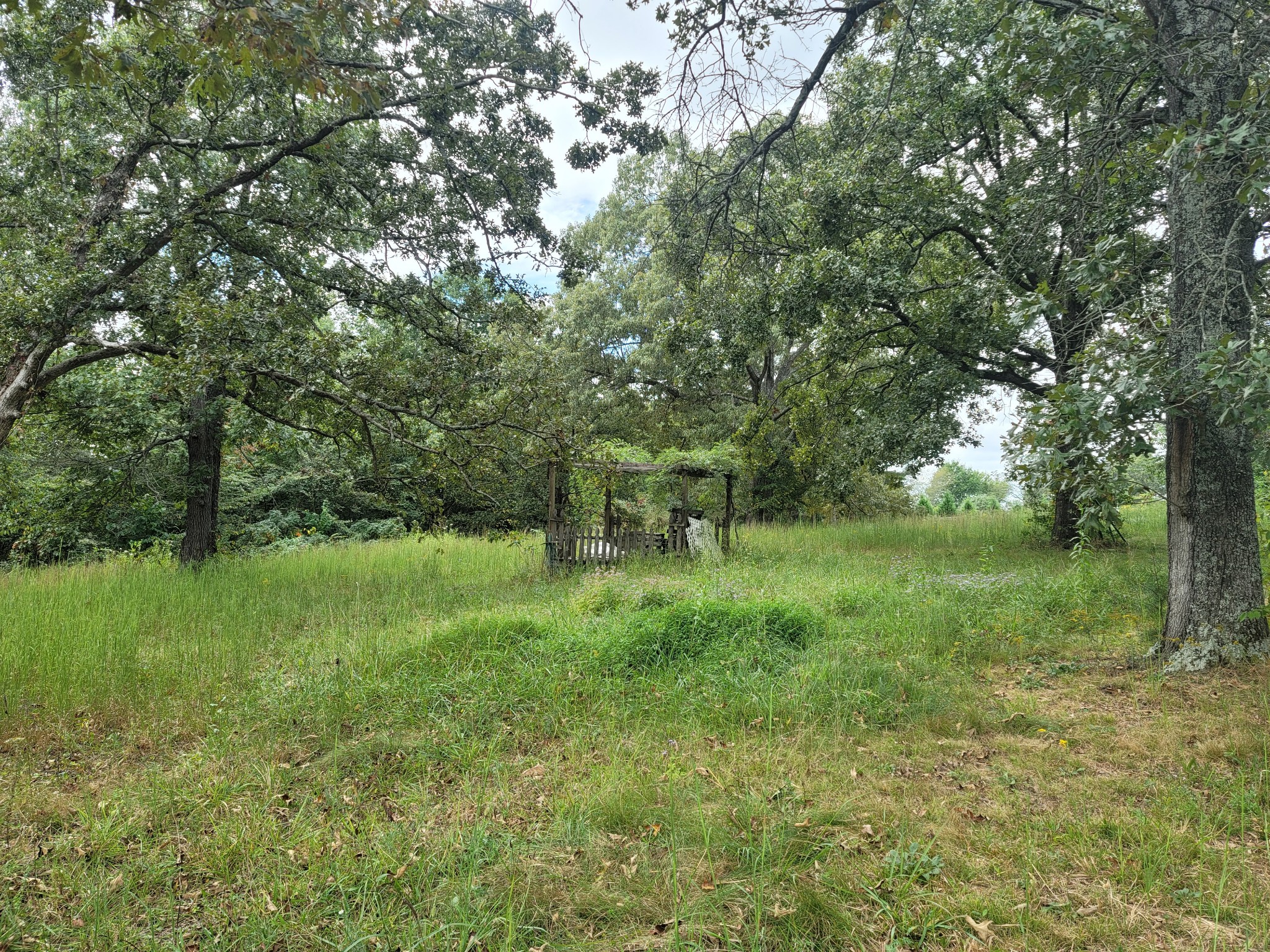1625 Grapevine Road Crofton, KY 42217 - Photo 15 of 47 Gallery Image 15