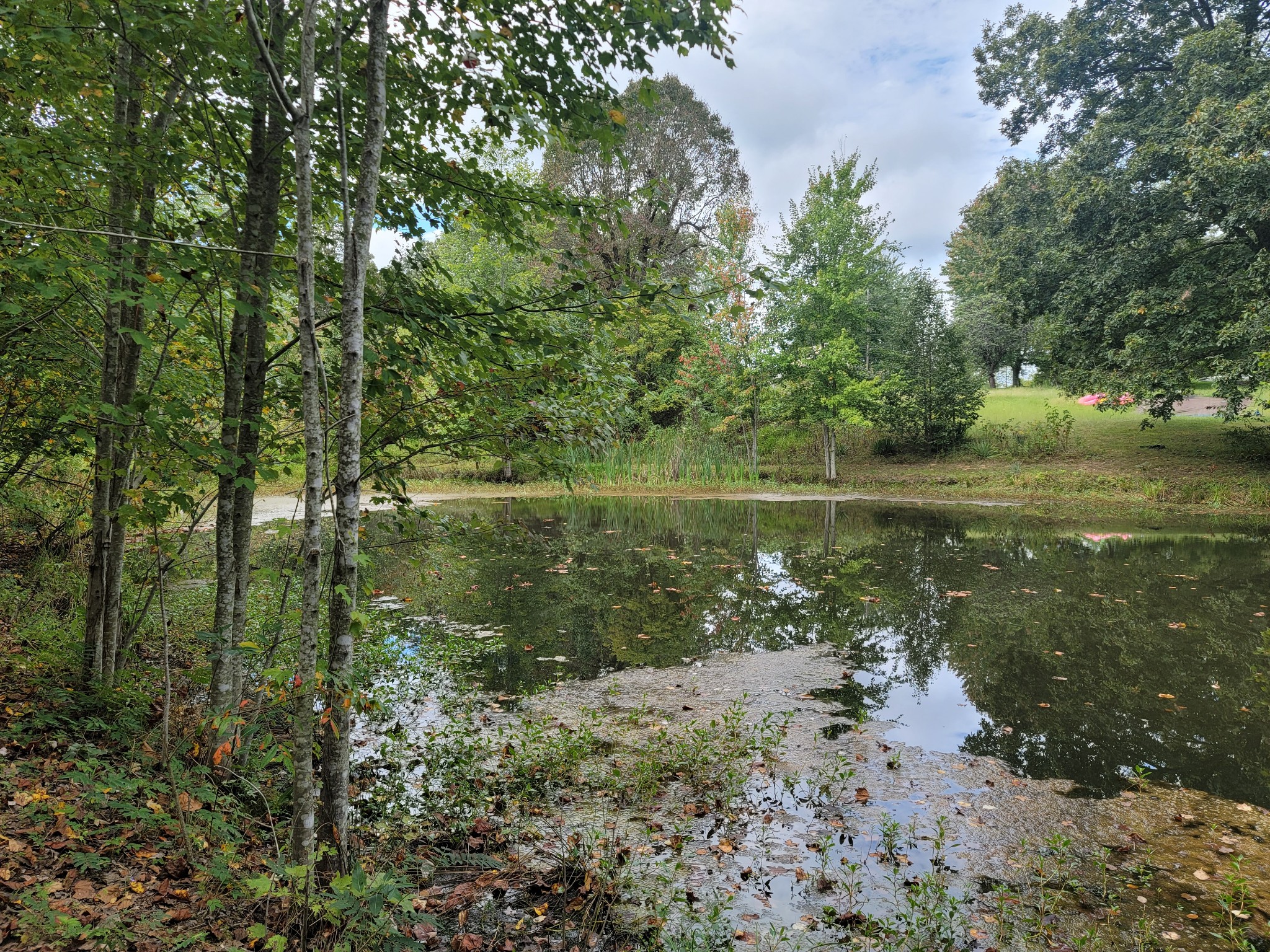 1625 Grapevine Road Crofton, KY 42217 - Photo 18 of 47 Gallery Image 18