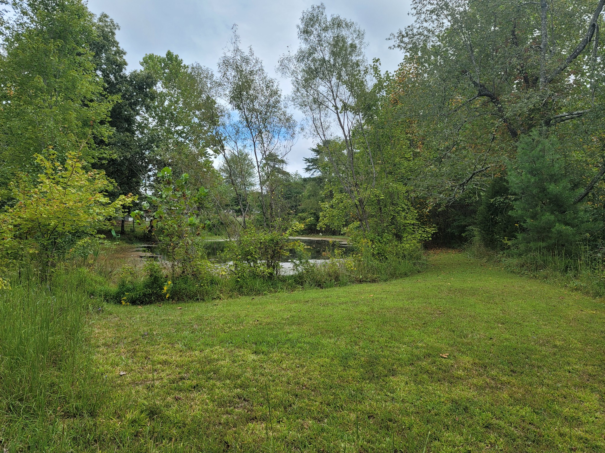 1625 Grapevine Road Crofton, KY 42217 - Photo 19 of 47 Gallery Image 19