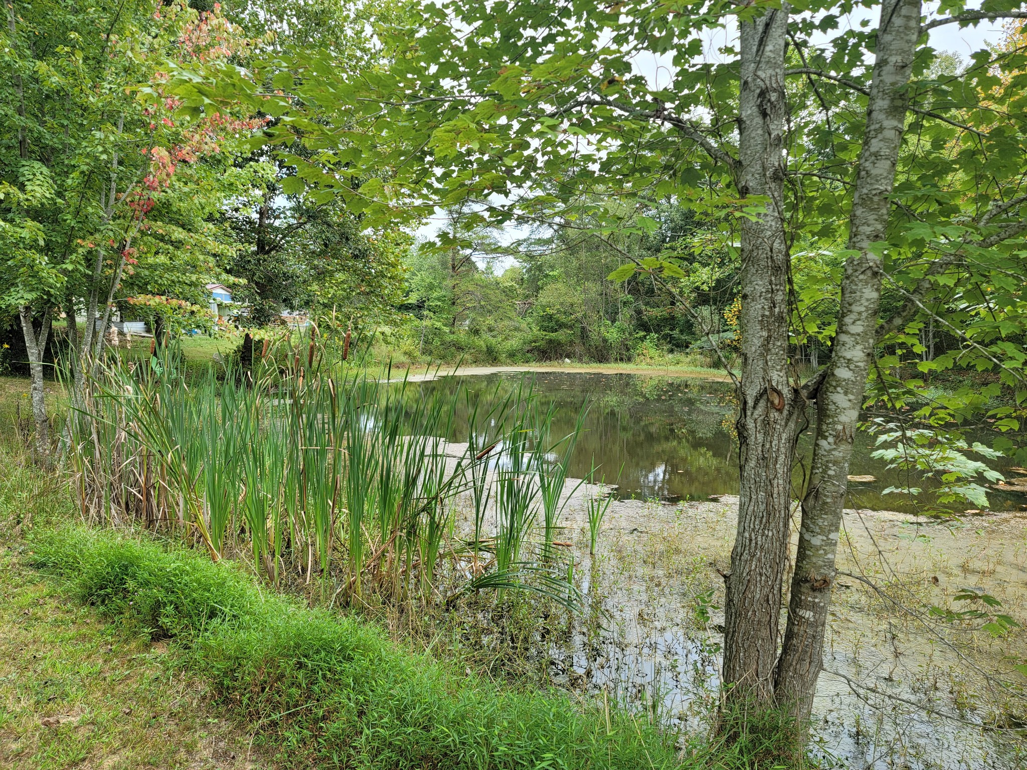 1625 Grapevine Road Crofton, KY 42217 - Photo 20 of 47 Gallery Image 20