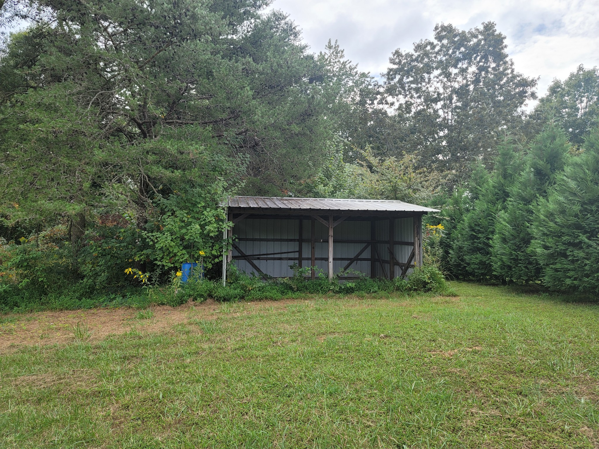 1625 Grapevine Road Crofton, KY 42217 - Photo 10 of 47 Gallery Image 10