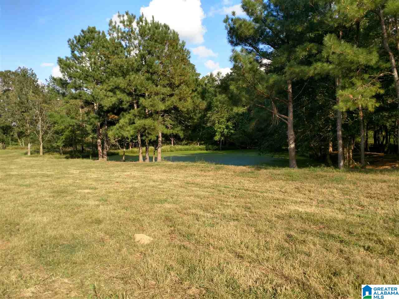 13626 Highway 160 Cleveland, AL 35049 - Photo 23 of 28