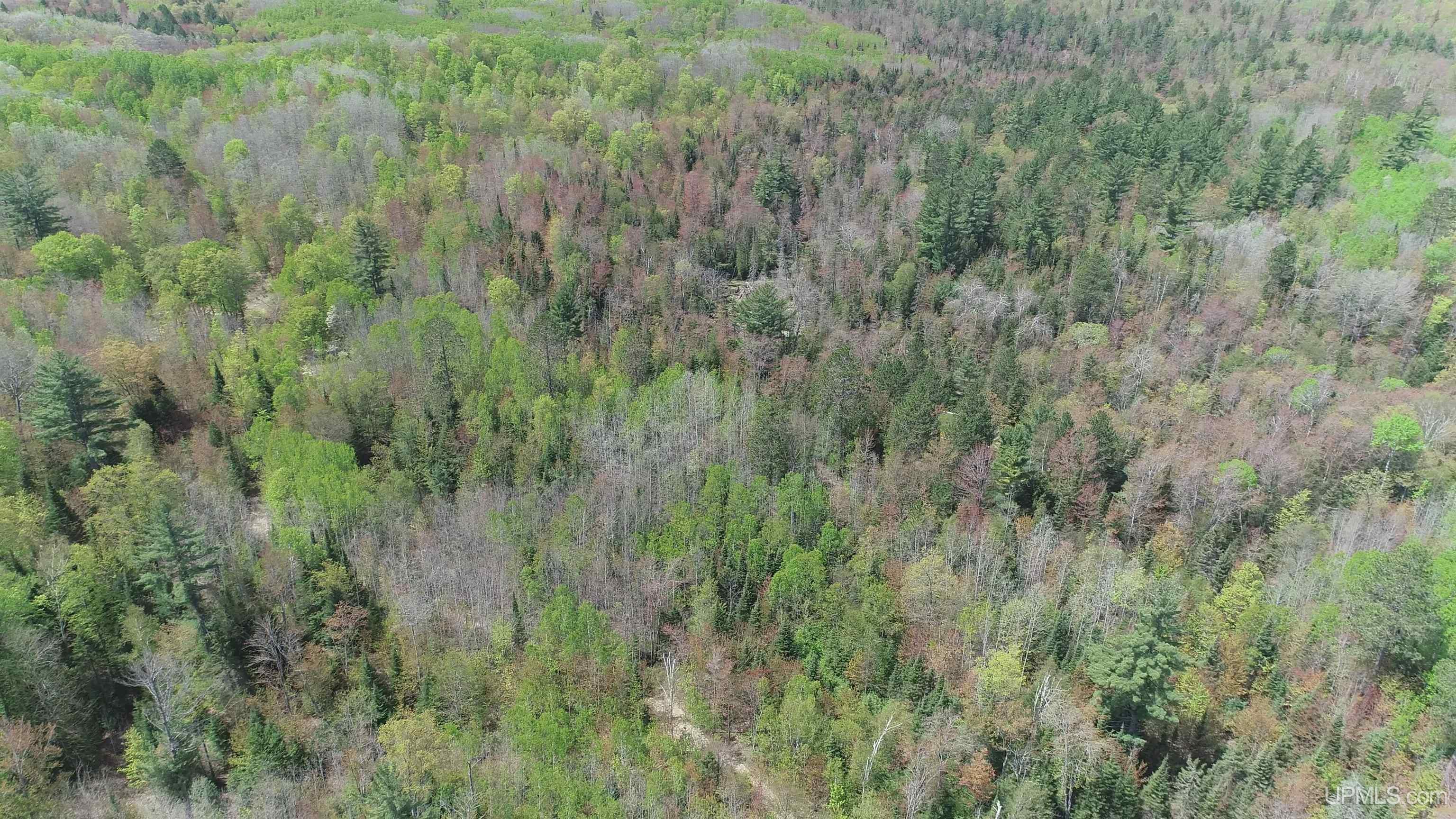 38-acres County Rd NA Road Marquette, MI 49855 - Photo 68 of 70