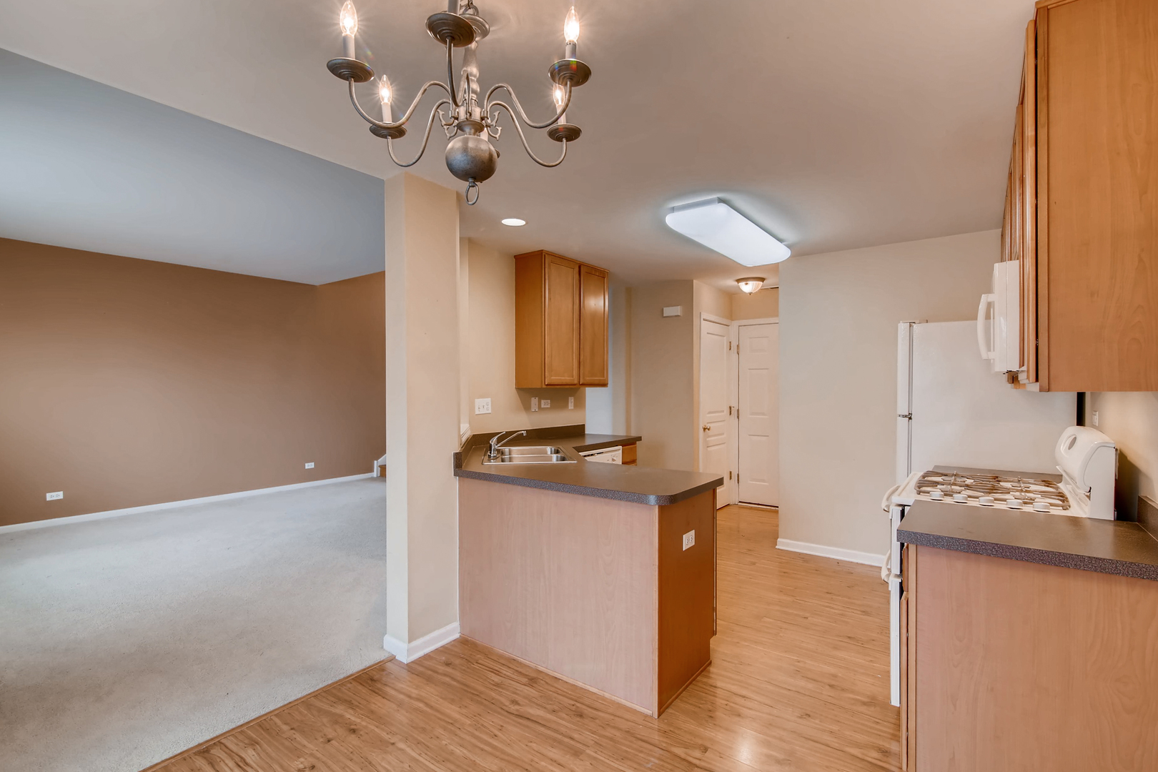 413 Metropolitan Street, Unit 413 Aurora, IL 60502 - Photo 5 of 14