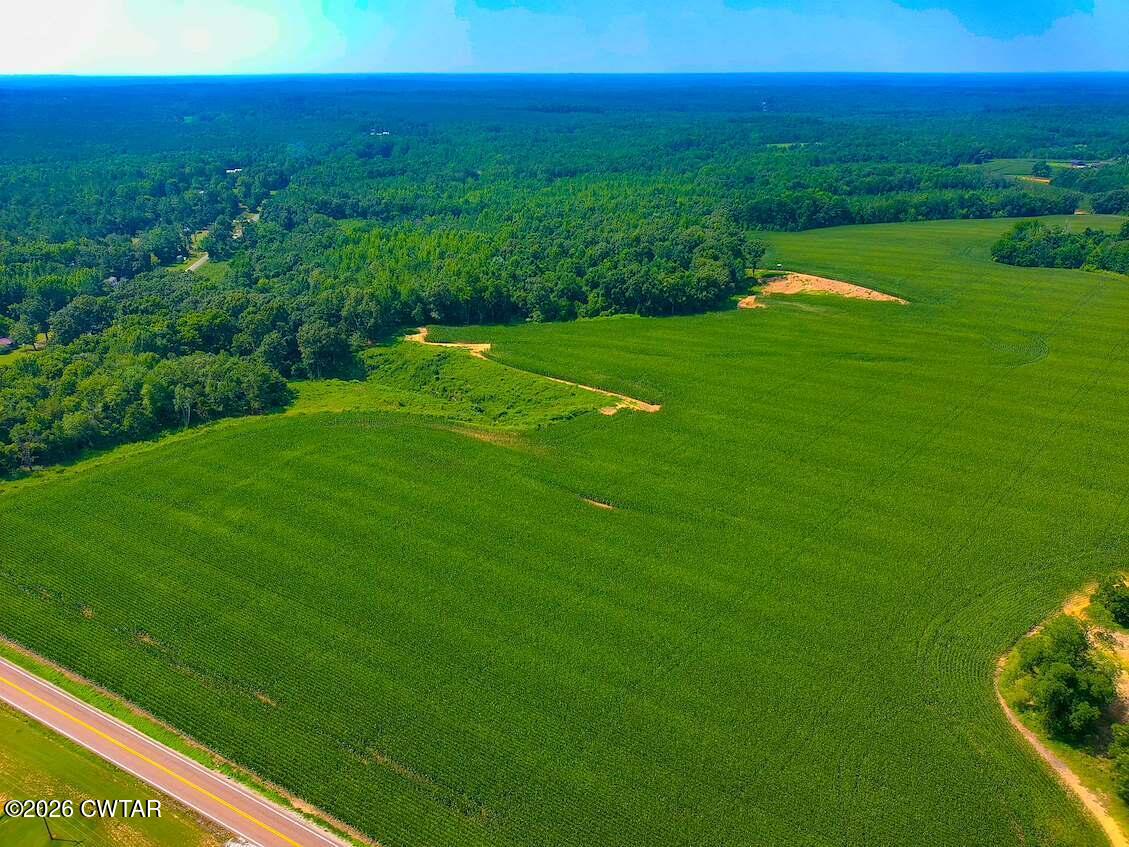 0 State Route South Henderson, TN 38340 - Photo 2 of 12 thumbnail (2)