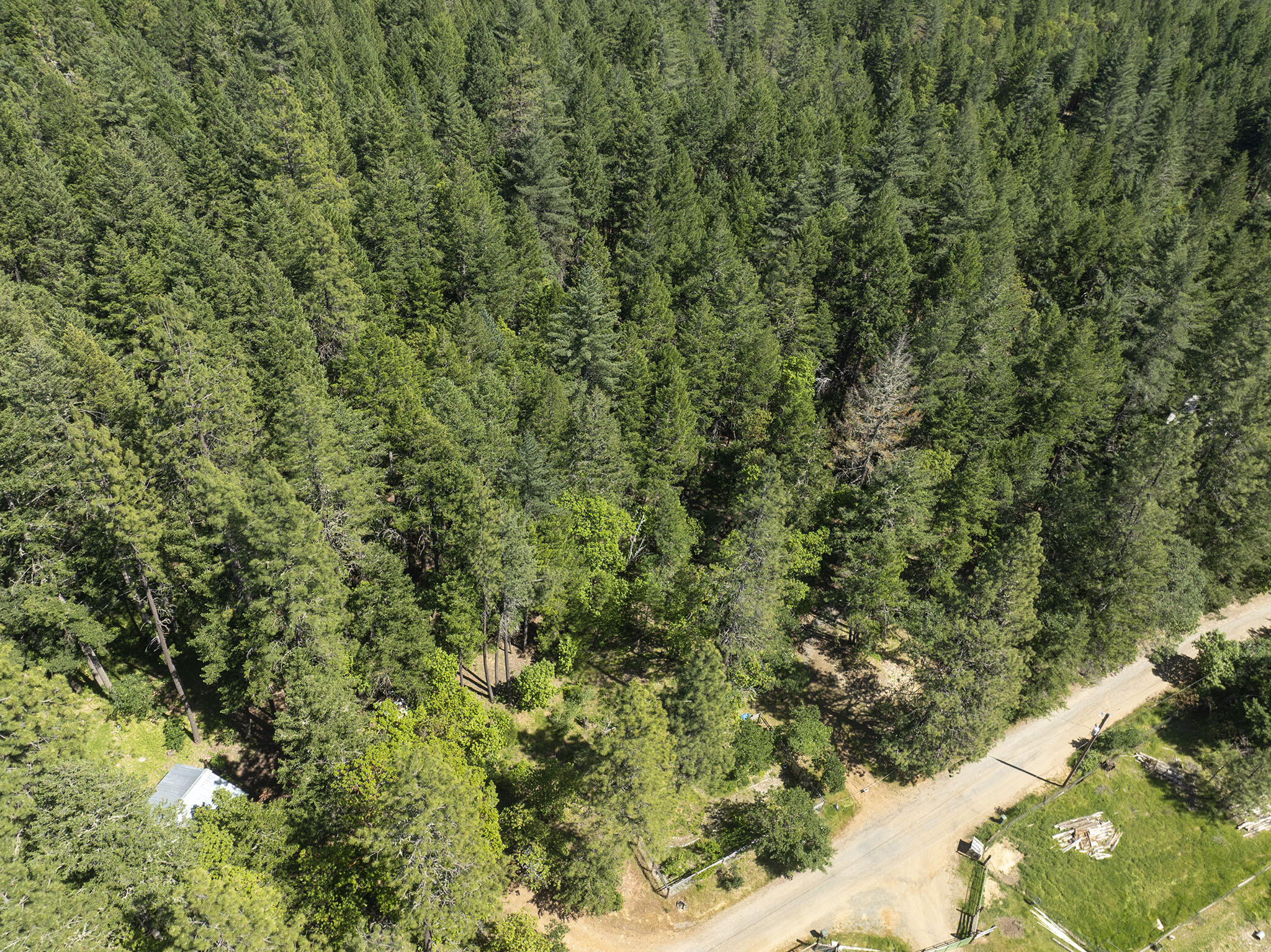 401 China Creek Road Williams, OR 97544 - Photo 60 of 61 60