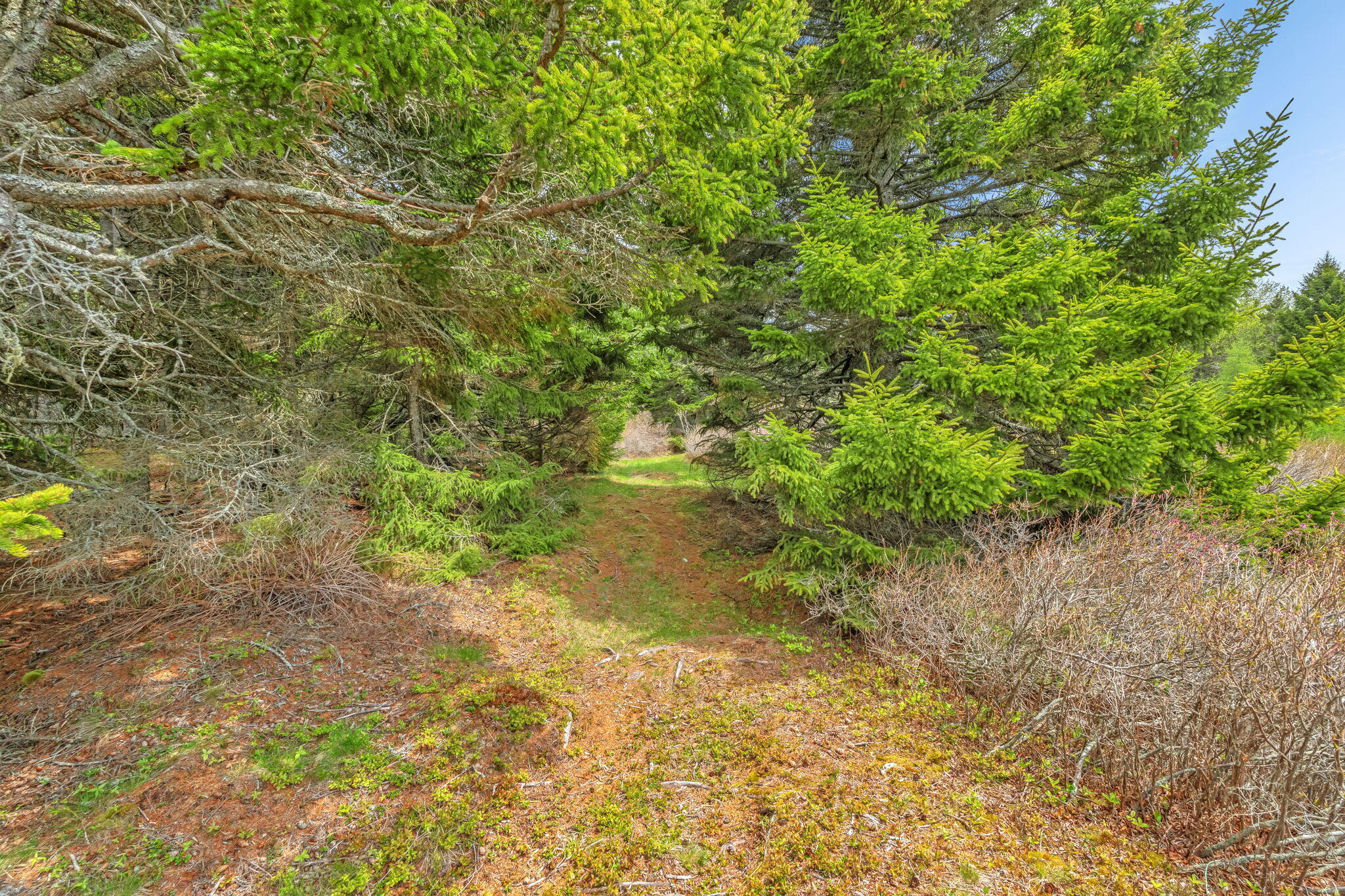 0 Pomp Island Beals, ME 04611 - Photo 49 of 78 50-web-or-mls-0-pomp-island