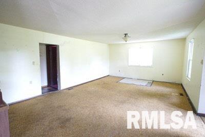 814 Chamness Road Royalton, IL 62983 - Photo 10 of 11