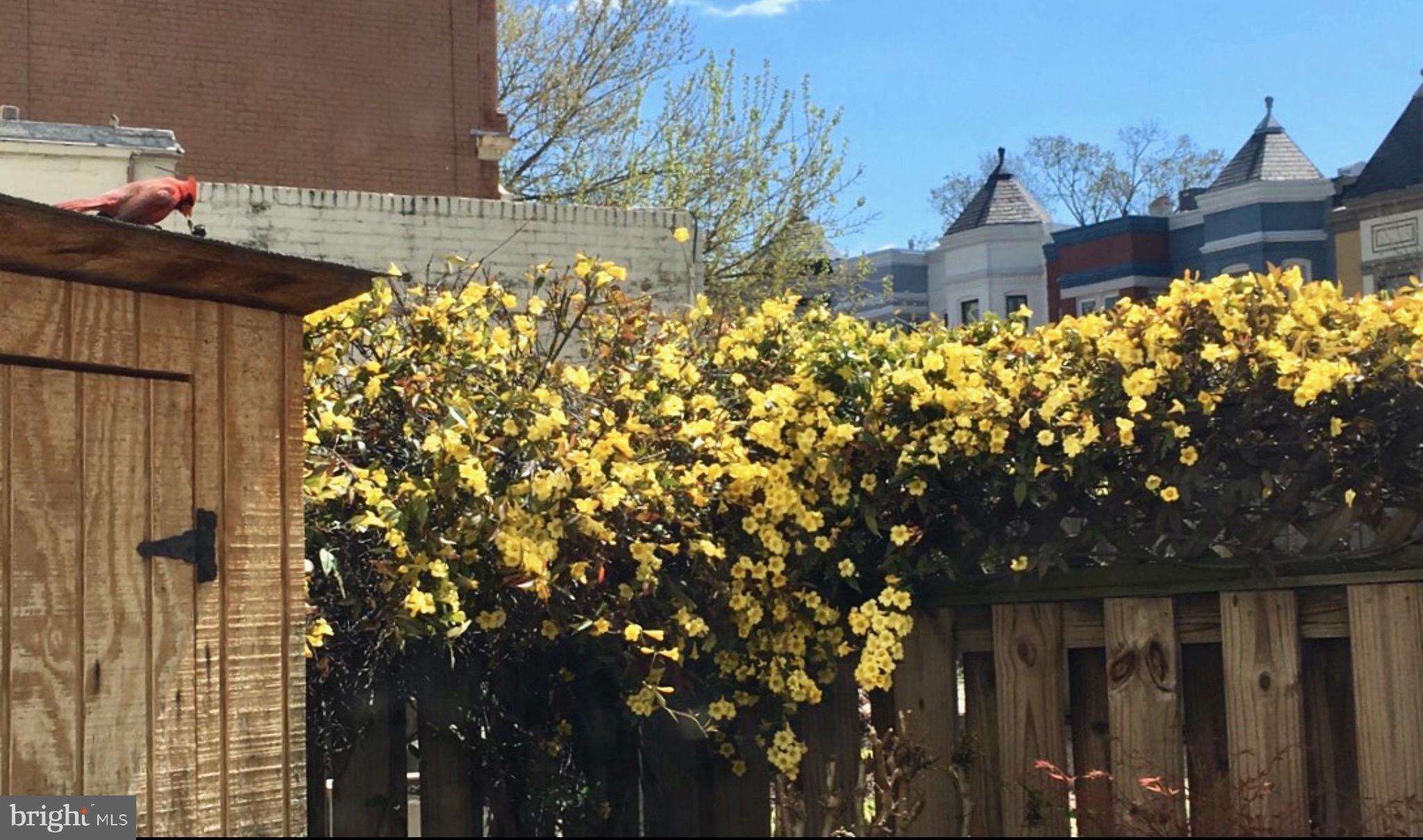 101 North Carolina Avenue Southeast, Unit 110 Washington, DC 20003 - Photo 30 of 35