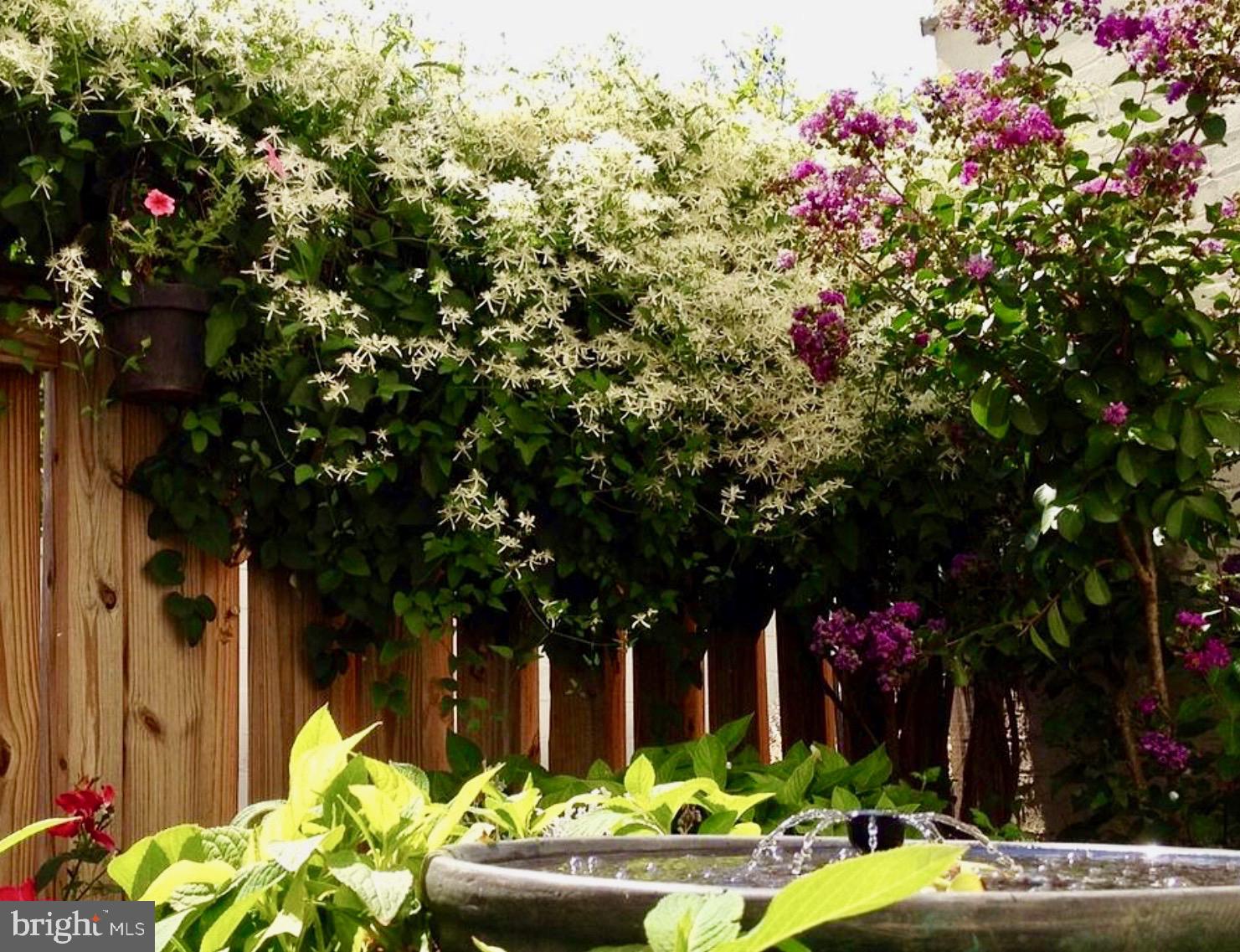 101 North Carolina Avenue Southeast, Unit 110 Washington, DC 20003 - Photo 31 of 35