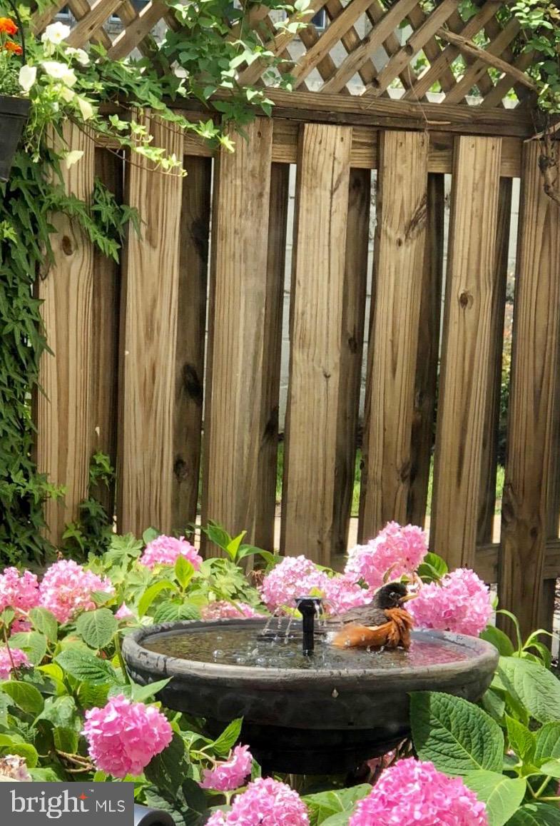 101 North Carolina Avenue Southeast, Unit 110 Washington, DC 20003 - Photo 32 of 35