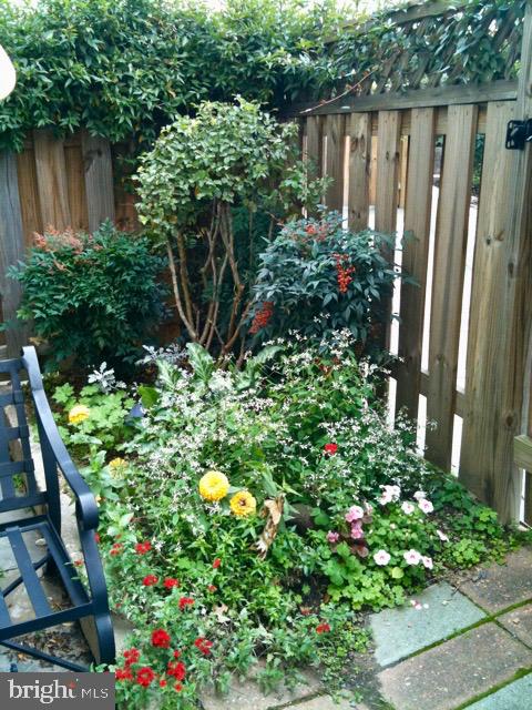 101 North Carolina Avenue Southeast, Unit 110 Washington, DC 20003 - Photo 35 of 35