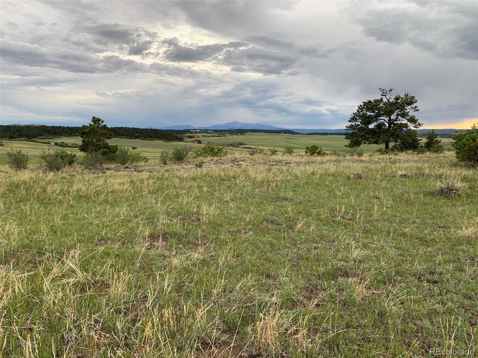 11260 Glory Ridge Loop Elbert, CO 80106 - Photo 3 of 11