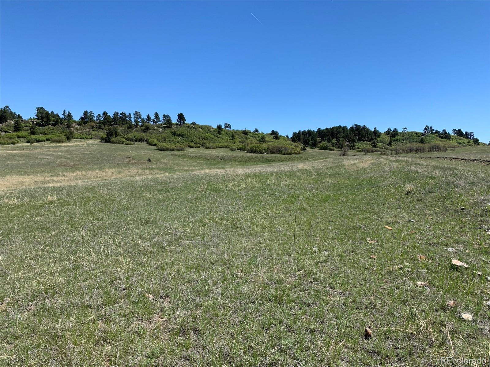 11260 Glory Ridge Loop Elbert, CO 80106 - Photo 7 of 11