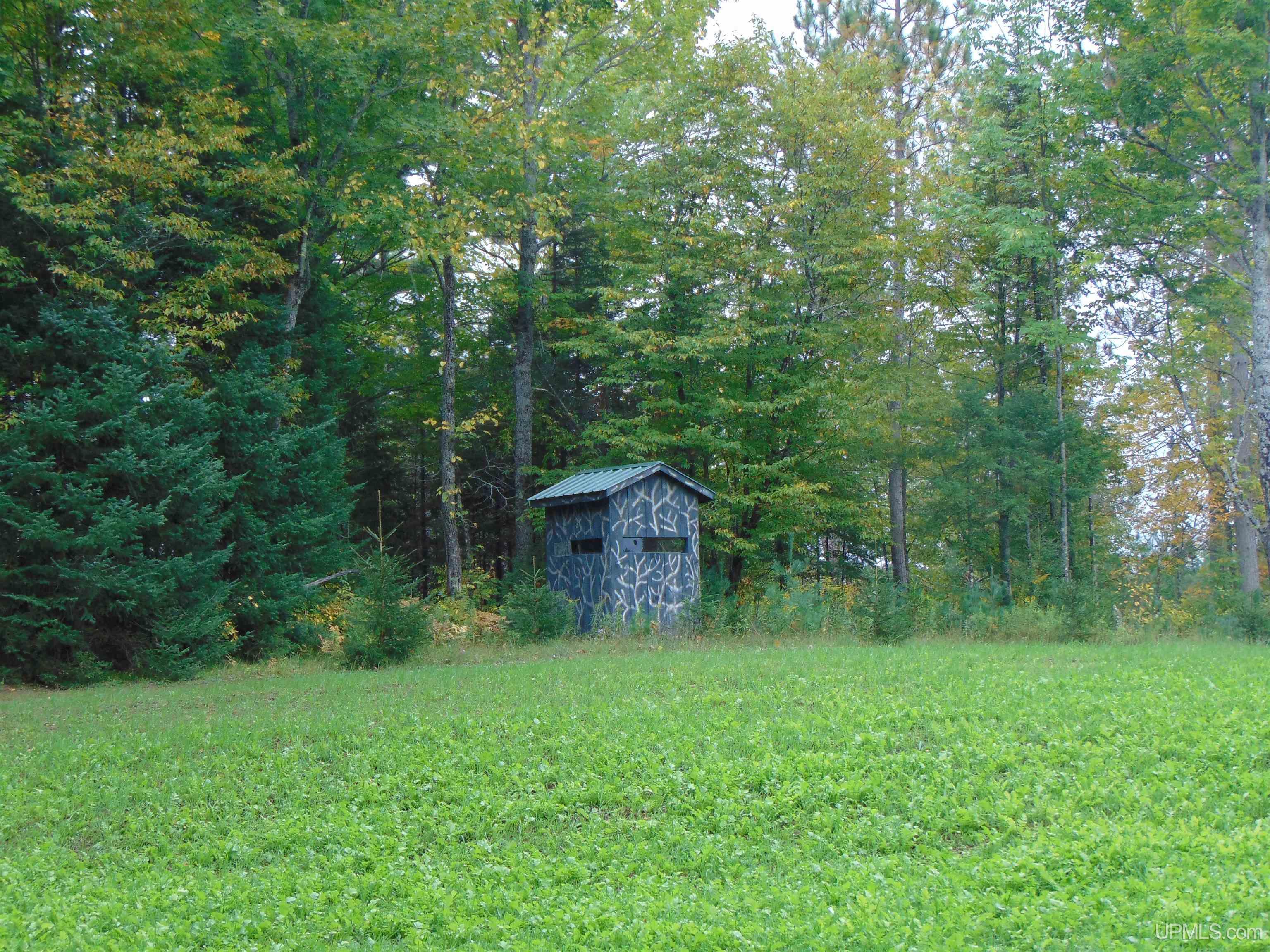 2792 County Line Road Vulcan, MI 49892 - Photo 83 of 99