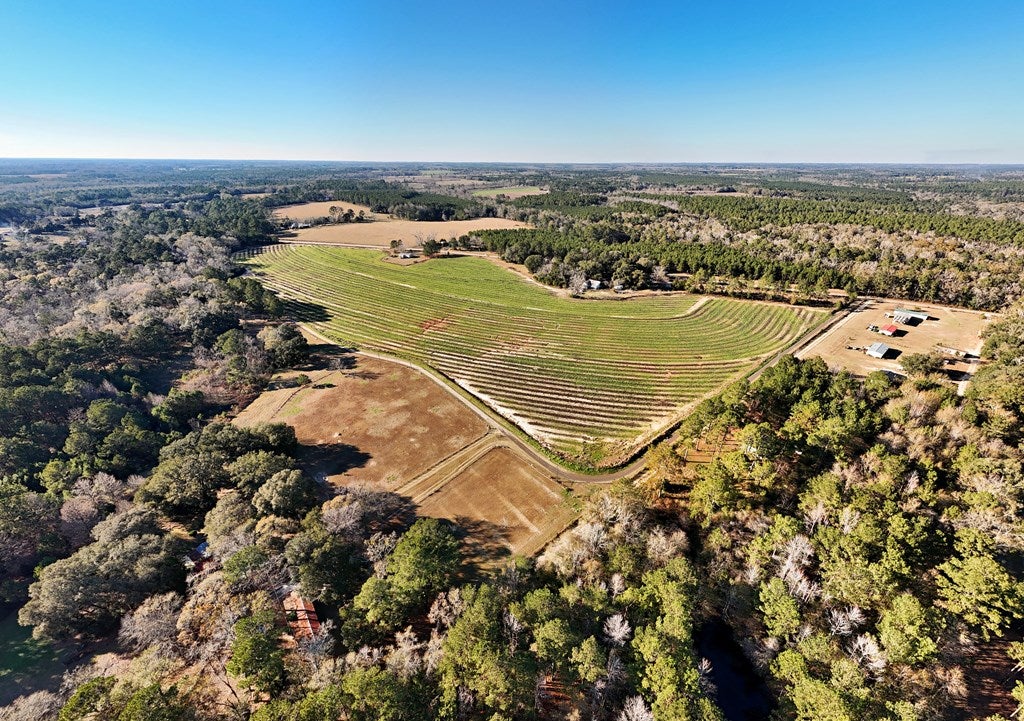 0 Tired Creek Road Whigham, GA 39897 - Photo 13 of 15 Gallery Image 13