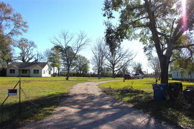 a view of a park with large trees