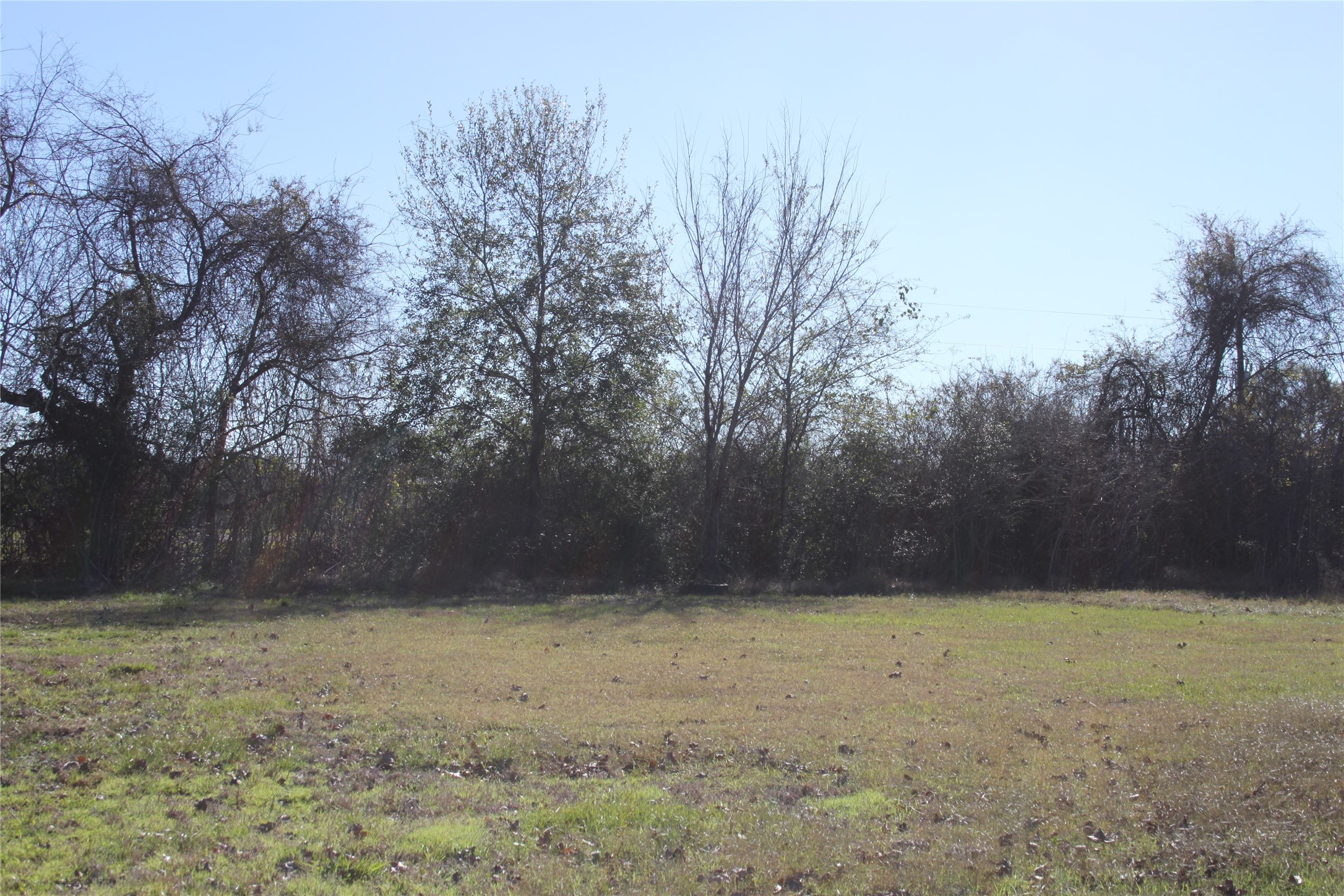 21824 Fairground Road Hempstead, TX 77445 - Photo 16 of 18