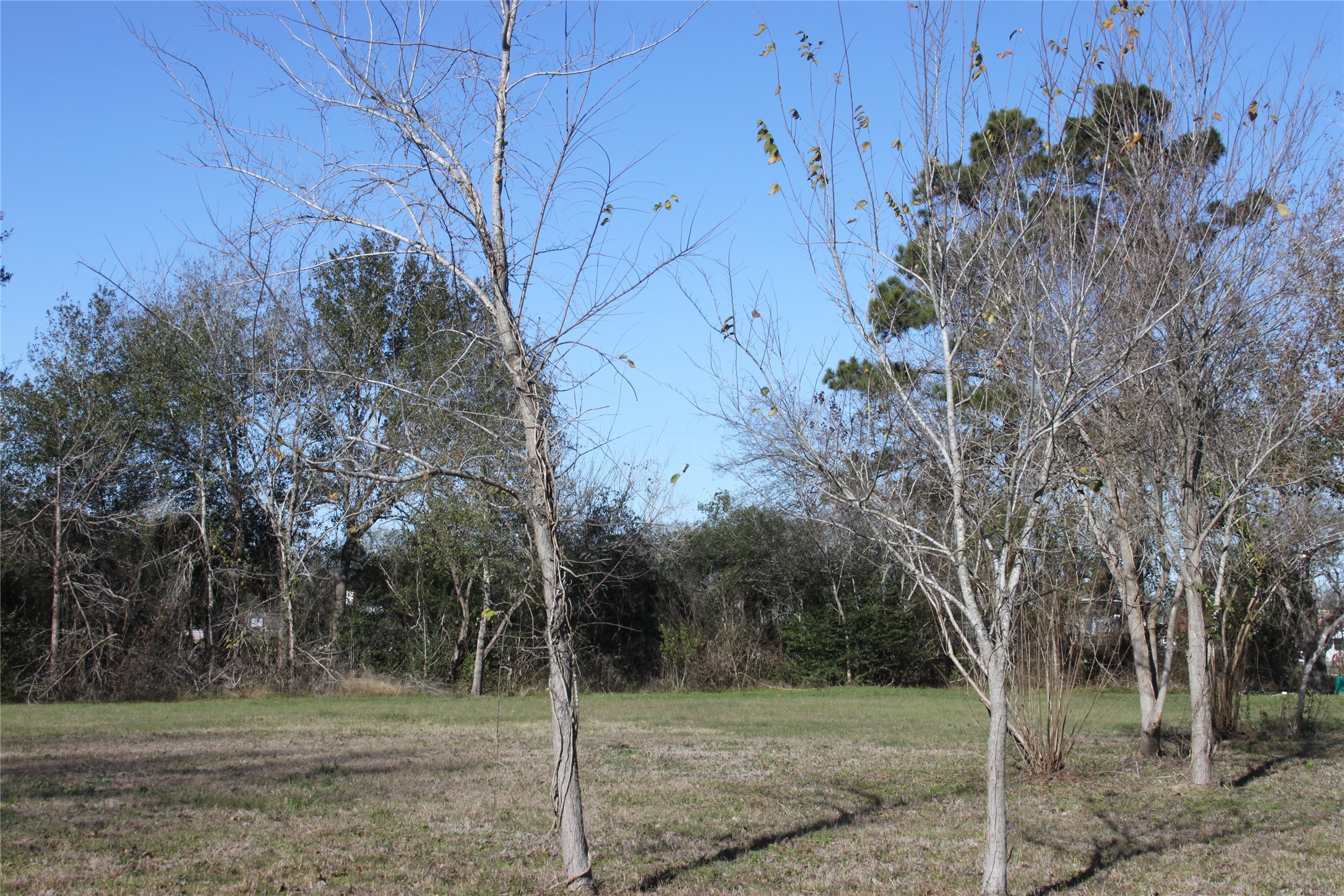 21824 Fairground Road Hempstead, TX 77445 - Photo 17 of 18