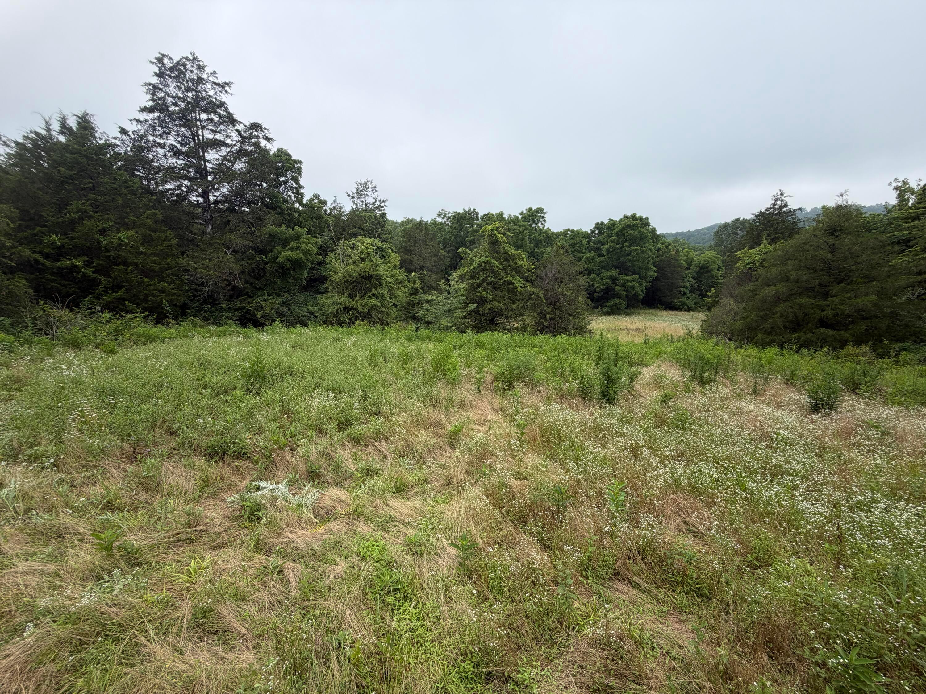 17883 State Rte 41 West Union, OH 45693 - Photo 48 of 60 46