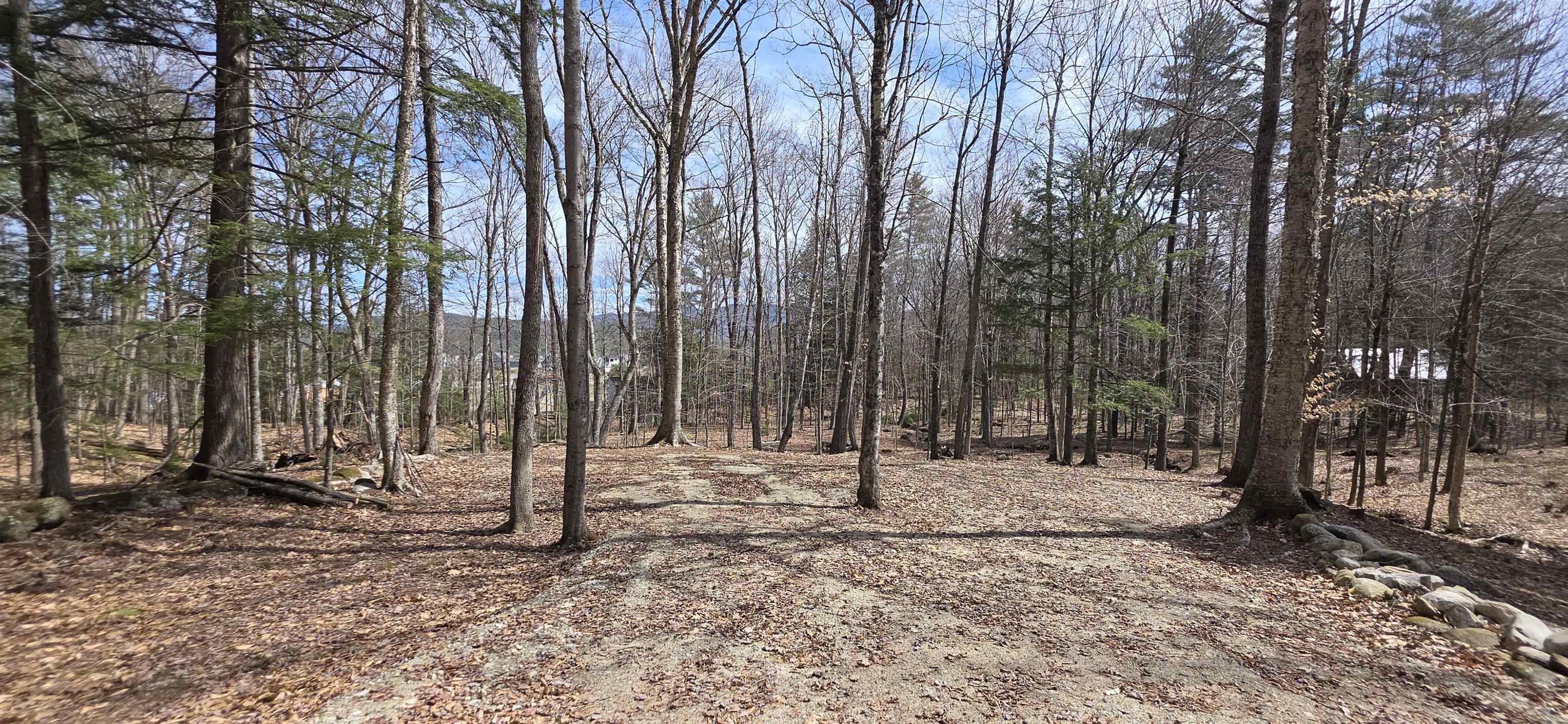 Mitchell Road Thornton, NH 03285 - Photo 16 of 20 Gallery Image 16