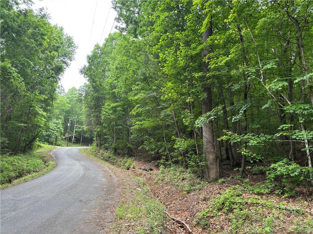 0 Navajo Trail Rydal, GA 30171 - Photo 1 of 1 a view of a forest with trees in the background