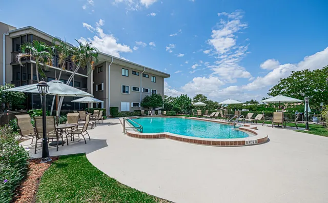a view of a backyard with potted plants and large trees