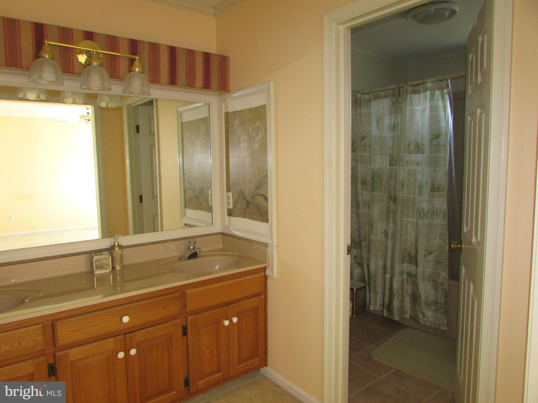 202 Bodys Neck Road Chester, MD 21619 - Photo 15 of 23 Bath (Master)