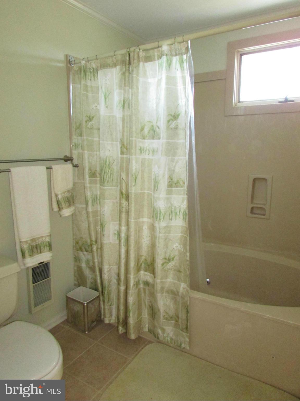 202 Bodys Neck Road Chester, MD 21619 - Photo 16 of 23 Bath (Master)