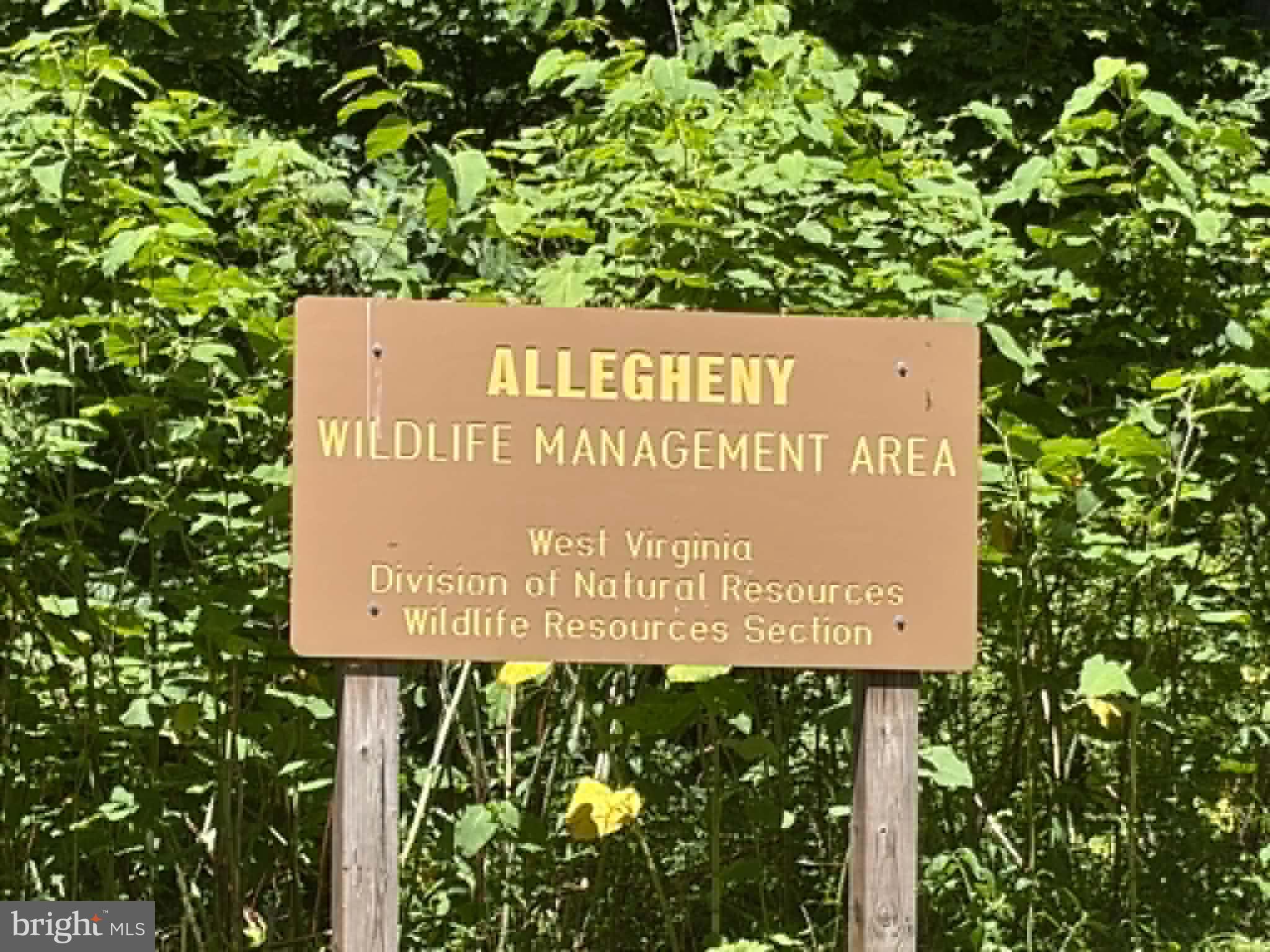 1515 Barnum Road Keyser, WV 26726 - Photo 64 of 64 Close to Allegheny Wildlife Management Area