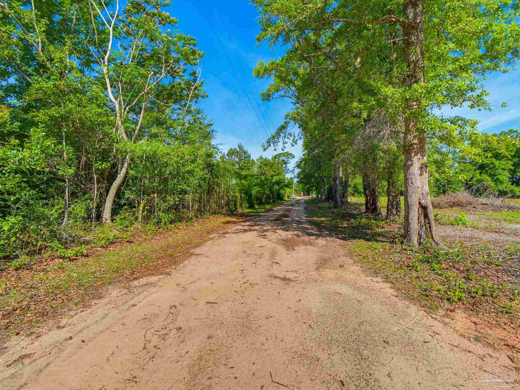 4940 Dawson Road Century, FL 32535 - Photo 2 of 62