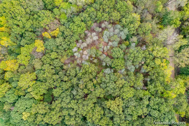 $297,500 | 0 Sayles Road, Lowell, MI 49331